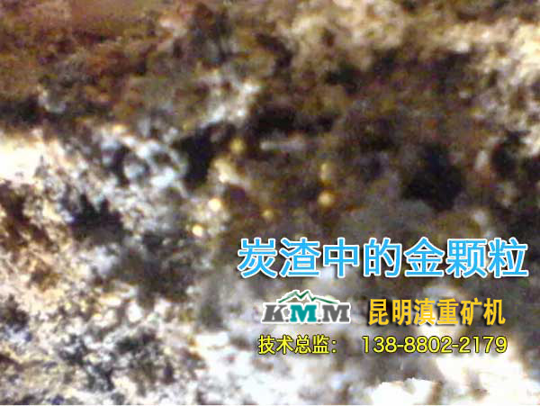 肉眼即可看到活性炭渣中的黃金顆粒