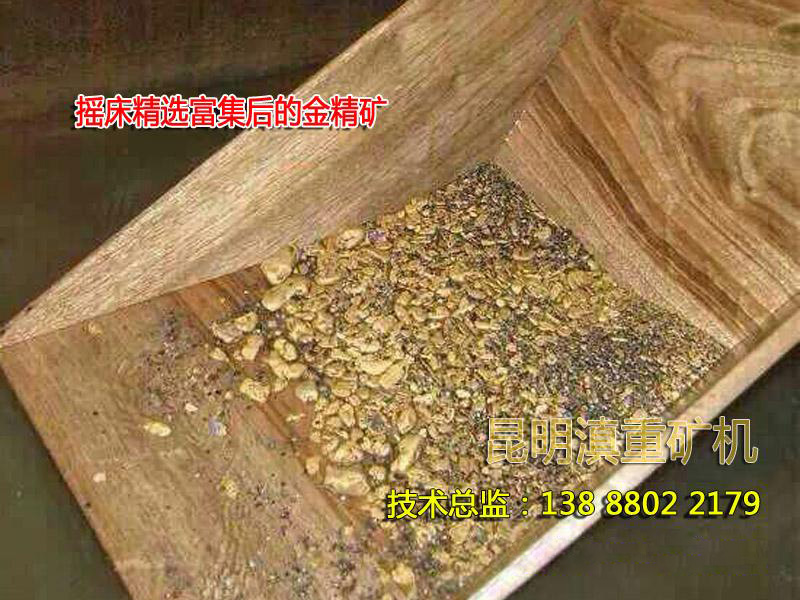 砂金礦經過搖床重選之后得到的毛金